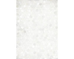 Lederteppich Exotic 310 silber 120x170 cm