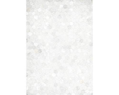 Lederteppich Exotic 310 silber 120x170 cm