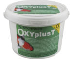 Hornbach O² Tabletten Dr. Söchtings Oxyplus T 4 kg