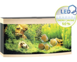 Aquarium JUWEL Vision 260 mit LED-Beleuchtung, Heizer, Filter ohne Unterschrank helles Holz