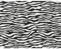 Wassertransferdruck Folie Zebra schwarz CD-39 50x100 cm