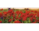 Hornbach Glasbild Summer Poppy Field 50x125 cm GLA885