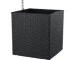 Hornbach Pflanztopf Lafiora Kunststoff 36x36x36 cm anthrazit