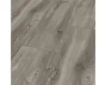 Hornbach Laminat KRONOTEX 8.0 Montemerlo Eiche grau