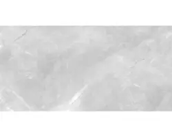 Keramik Bodenfliese Premium 60,0x120,0 cm grau glänzend