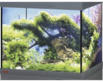 Hornbach Aquarium, Glasbecken EHEIM GB 82 vivalineLED 126, ca. 81 x 36 x 40 cm, ca. 126 l, nur mit oberer Blende anthrazit, ohne Beleuchtung und weitere Technik, ohne Inhalt