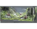 Hornbach Aquarium, Glasbecken EHEIM GB 105 vivalineLED 180, ca. 101 x 41 x 49 cm, ca. 180 l, nur mit oberer Blende anthrazit, ohne Beleuchtung und weitere Technik, ohne Inhalt