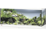 Hornbach Aquarium, Glasbecken EHEIM GB 123 vivalineLED 240, ca. 121 x 41 x 54 cm, ca. 240 l, nur mit oberer Blende weiß, ohne Beleuchtung und weitere Technik, ohne Inhalt