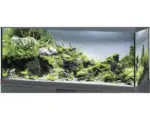 Hornbach Aquarium, Glasbecken EHEIM GB 123 vivalineLED 240, ca. 121 x 41 x 54 cm, ca. 240 l, nur mit oberer Blende anthrazit, ohne Beleuchtung und weitere Technik, ohne Inhalt