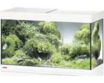 Hornbach Aquarium EHEIM Vivaline 126 mit LED-Beleuchtung ohne Unterschrank weiß