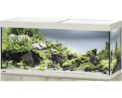 Aquarium EHEIM Vivaline 240 mit LED-Beleuchtung ohne Unterschrank eiche