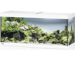 Aquarium EHEIM Vivaline 240 mit LED-Beleuchtung ohne Unterschrank weiß