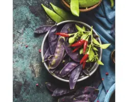 Glasbild Peppers 20x20 cm GLA1795