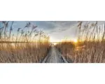 Hornbach Glasbild Way To The Sun 30x80 cm GLA1815