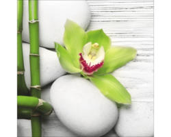 Glasbild Flowers Stones Bamboos II 30x30 cm GLA1830