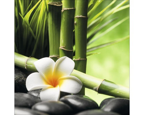 Glasbild Flowers Stones Bamboos III 20x20 cm GLA1831