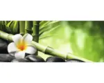 Hornbach Glasbild Flowers Stones Bamboos III 30x80 cm GLA1846