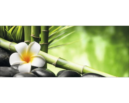 Glasbild Flowers Stones Bamboos III 30x80 cm GLA1846