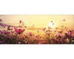 Hornbach Glasbild Flowerfield III 30x80 cm