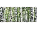 Hornbach Glasbild Tree Trunk Collection 30x80 cm GLA1850