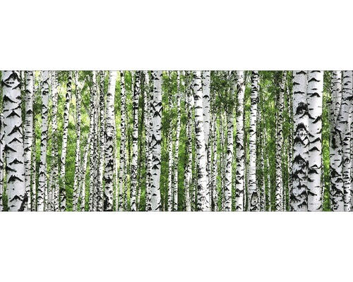 Glasbild Tree Trunk Collection 30x80 cm GLA1850