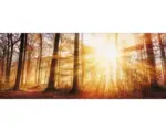 Hornbach Glasbild Autumn Lake 30x80 cm GLA1854