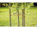 Hornbach Gartenschnur Jute FloraSelf 250 m natur