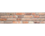 Hornbach EPS Schaumstoff Wandpaneel Rebel of Styles Ultra Light 30,0x120,0 cm rot