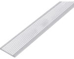 Hornbach Flachstange Aluminium geriffelt 40 x 3 mm, 1 m