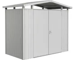 Gartenhaus Biohort Panorama inkl. Dachrinne Regale Set Lüftung Oberlicht 257 x 134 cm silber-metallic