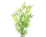 Hornbach Kunststoff-Wasserpflanze Aqua Bamboo 25cm hoch