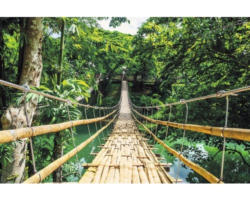 Maxi Poster Jungle Bridge 61x91,5 cm