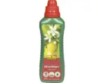 Hornbach Zitrusdünger FloraSelf Select 500 ml