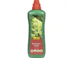 Hornbach Buchsbaumdünger FloraSelf Select 1 L