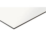 Hornbach Kompaktplatte Platte melaminharzbeschichtet weiß 1200,0 x 600,0 x 3,0 mm