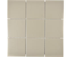 Keramikmosaik CQ 145 30,0x30,0 cm beige