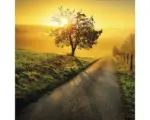 Hornbach Glasbild Way To Horizon 20x20 cm GLA1881