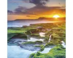 Hornbach Glasbild Green & Orange Horizon 30x30 cm GLA1883