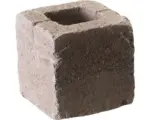 Hornbach Mauerstein Antik Sepia Halbstein 20x20 cm