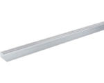Hornbach Einfassprofil silber 10-11mm 2700 mm