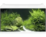 Hornbach Aquarium EHEIM aquaproLED 126 mit LED-Beleuchtung, Filter, Heizer, Thermometer, Fangnetz ohne Unterschrank weiß