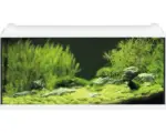 Hornbach Aquarium EHEIM aquaproLED 180 mit LED-Beleuchtung, Filter, Heizer, Thermometer, Fangnetz ohne Unterschrank weiß