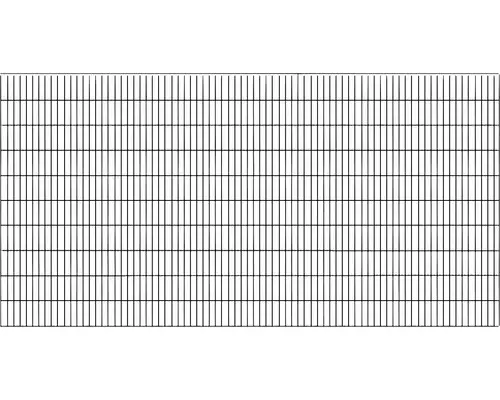 Gabionengitter 197,8x100,5 cm