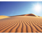 Hornbach Fototapete Vlies 18318 Deserts Dune 7-tlg. 350 x 260 cm
