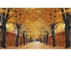 Fototapete Papier 97333 Autumn Alley 7-tlg. 350 x 260 cm