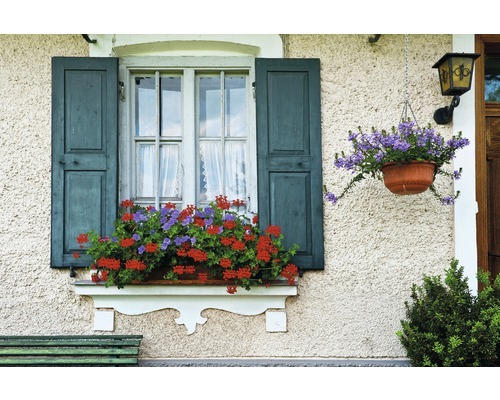 Fototapete Papier 97336 Bavarian Window 7-tlg. 350 x 260 cm