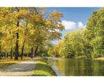 Hornbach Fototapete Vlies 18344 River in Autumn Park 7-tlg. 350 x 260 cm