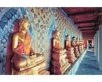 Hornbach Fototapete Papier Golden Statues of Buddha 350 x 260 cm