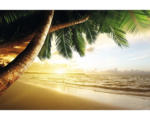 Hornbach Fototapete Vlies 18348 Caribbean Beach Sunrise 7-tlg. 350 x 260 cm