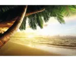 Hornbach Fototapete Vlies 18348 Caribbean Beach Sunrise 7-tlg. 350 x 260 cm